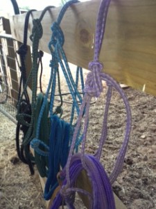 Photo - 4 Rope Halters for Horses