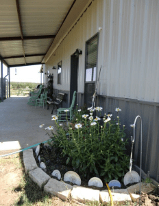Photo - Garden bed with vintage plate border