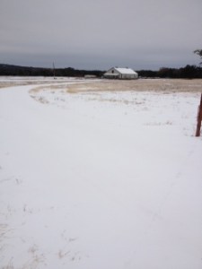 Barn photo - ice storm of 2013