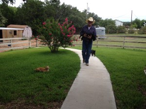Photo - Dad and his three cats.