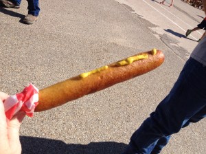 Festival Photo - Corn dog