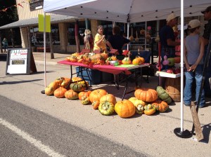 Festival Photo - Pumpkins