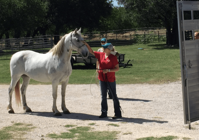 My Farmastic Life - Smokey the mustang heads home